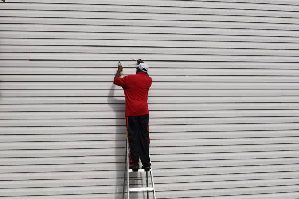 Best Aluminum Siding Installation  in Buda, TX
