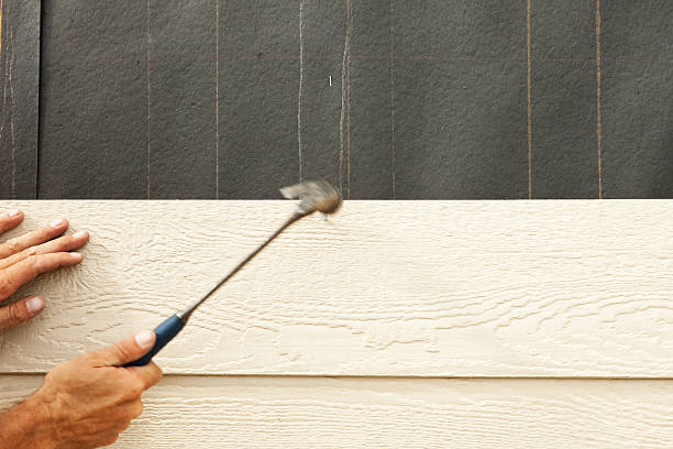 Best Composite Siding  in Buda, TX